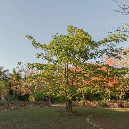 Bed and Breakfast Hacienda Shambalante Izamal Esterno foto