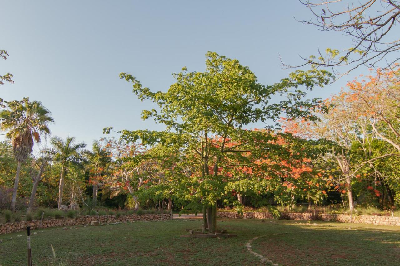 Bed and Breakfast Hacienda Shambalante Izamal Esterno foto
